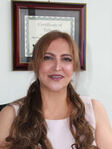 Evan Khyabani Abbassi, experienced Family Law, Litigation attorney in Woodland Hills, CA with 2 reviews