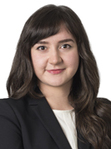 Alma Sobo, experienced Litigation attorney in Detroit, MI with 0 reviews