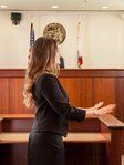 Martina Anne Vigil, experienced Criminal Defense, Family Law attorney in Santa Ana, CA with 8 reviews