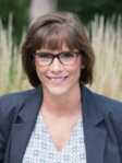 Dana L. Parks, experienced Child Support, Family Law attorney in Overland Park, KS with 9 reviews