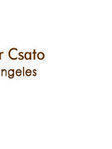 Peter Csato, experienced Business, Debt Collection attorney in San Francisco, CA with 0 reviews