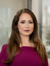 Michelle Teresa Acosta, experienced Car Accident, Litigation attorney in Houston, TX with 0 reviews